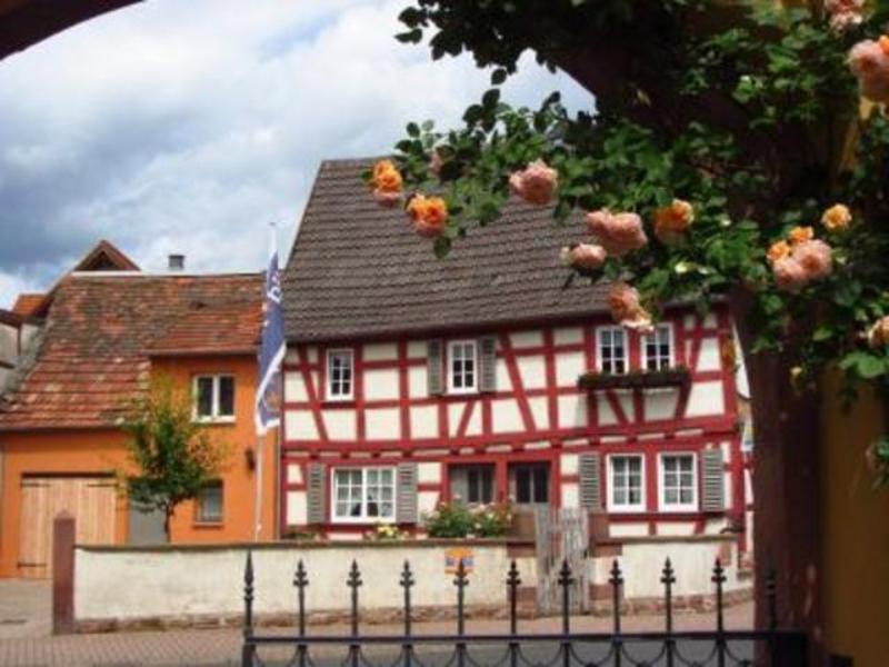 Haus Nostalgie Apartamento Kleinheubach Habitación foto